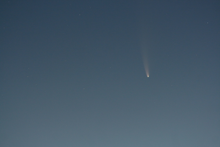 Neowise 7